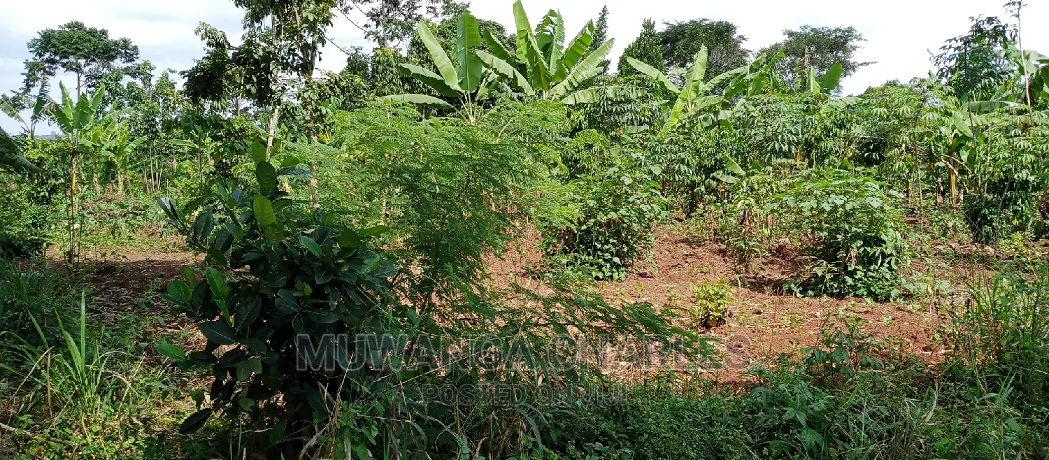 4acres of Land Is for Sale in Zirobwe in Kampala