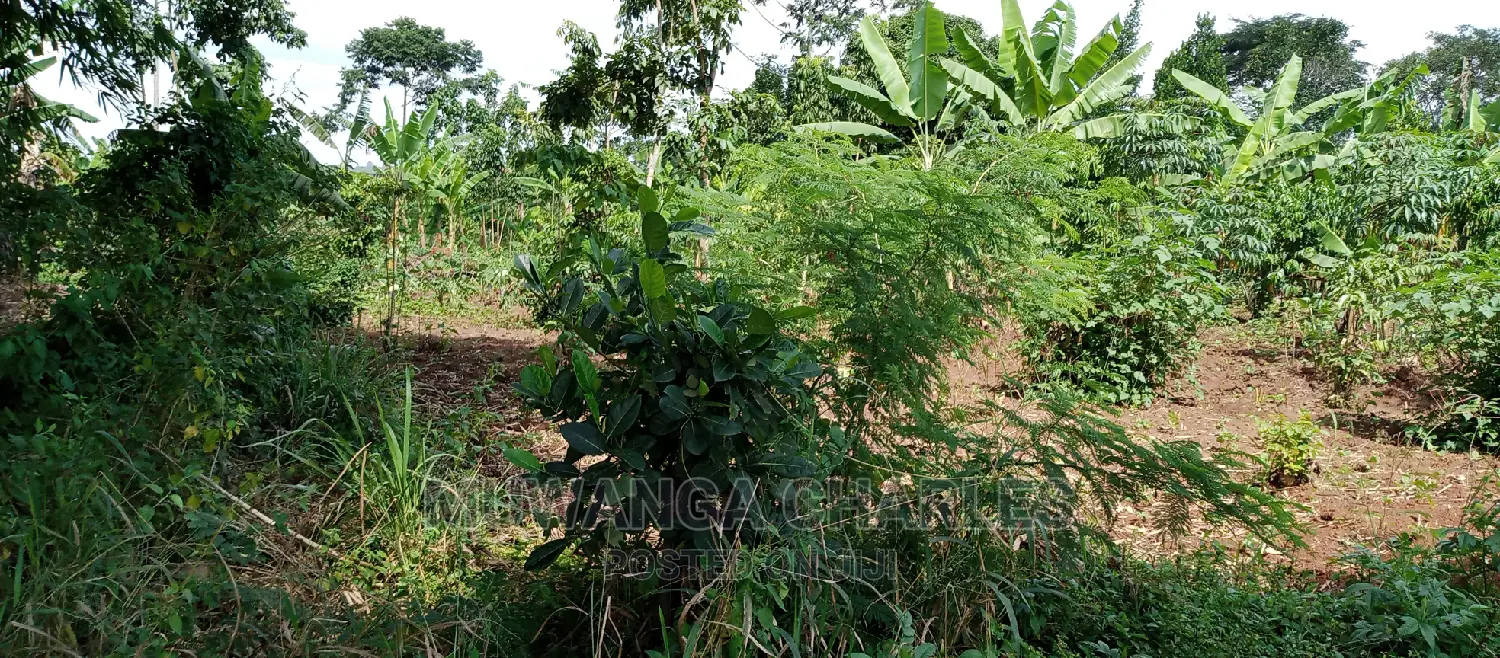 4acres of Land Is for Sale in Zirobwe in Kampala