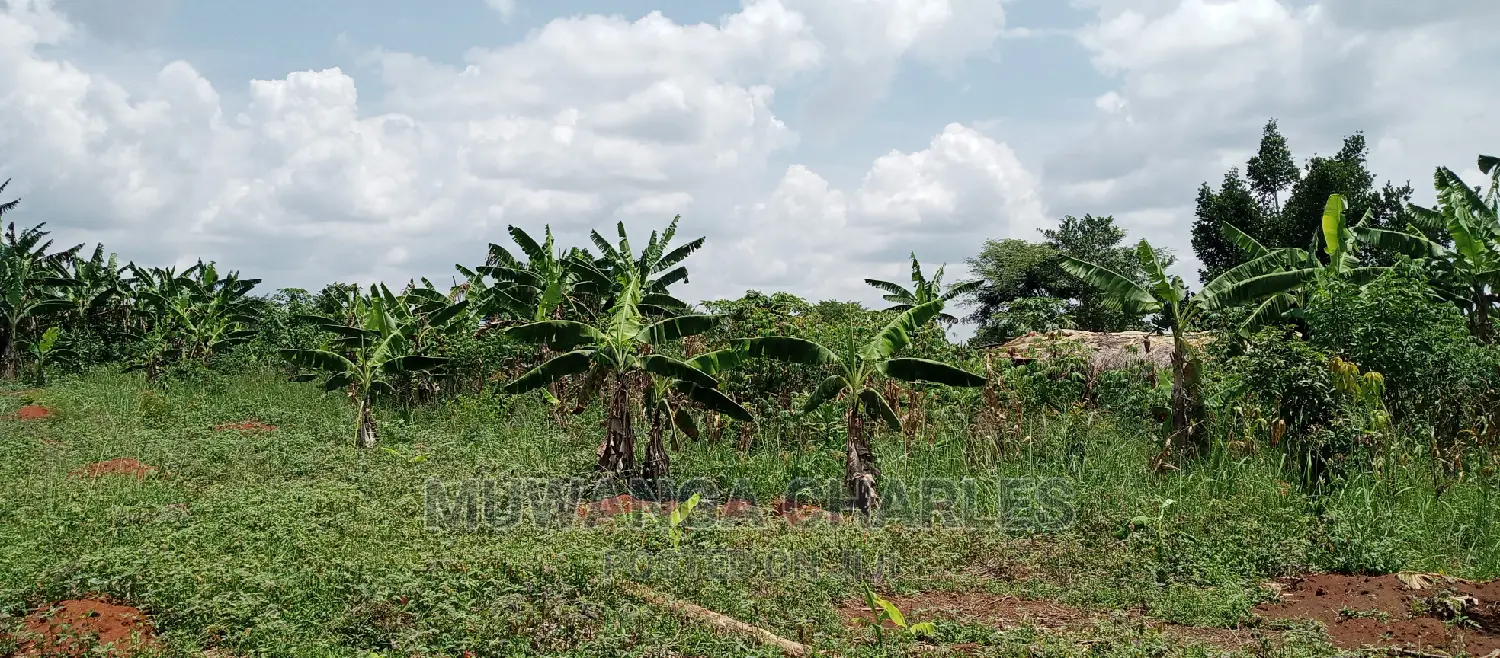 7acres Is for Sale in Zirobwe Nakabululu in Luweero