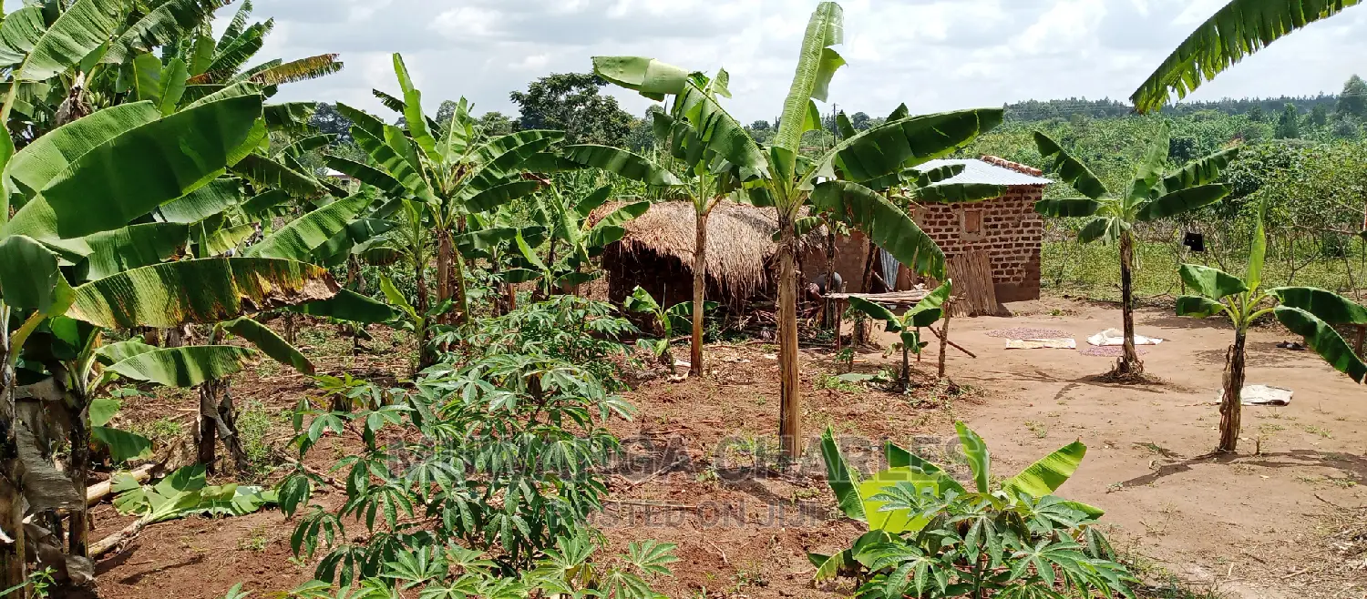 4acres Is for Sale in Zirobwe Wakatayi in Zirobwe