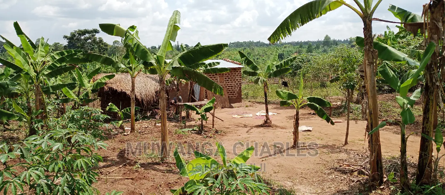 4acres Is for Sale in Zirobwe Wakatayi in Zirobwe