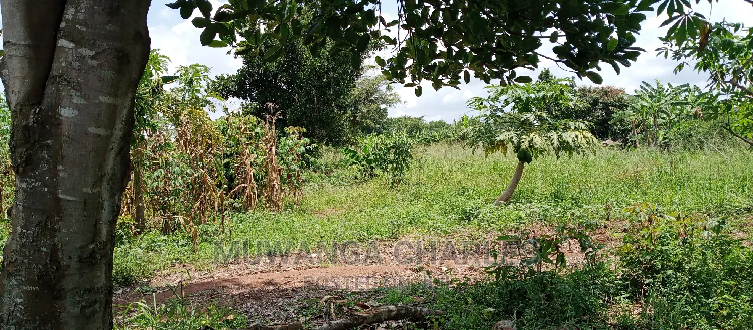 4acres Is for Sale in Zirobwe Wakatayi in Zirobwe