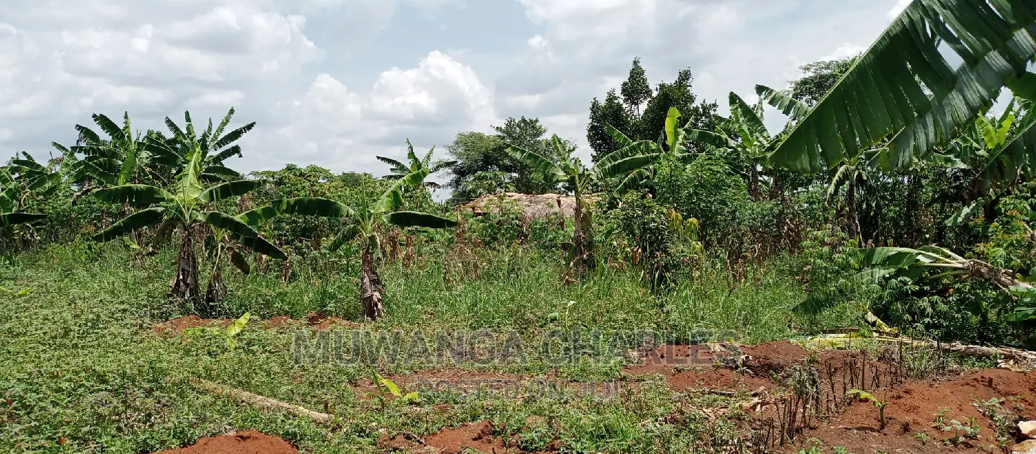 4acres Is for Sale in Zirobwe Wakatayi in Zirobwe