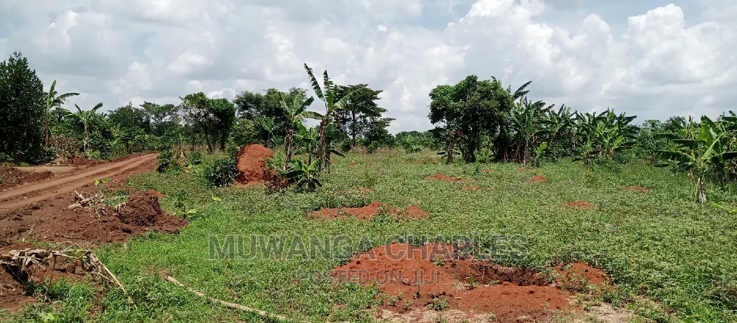 4acres Is for Sale in Zirobwe Wakatayi in Zirobwe