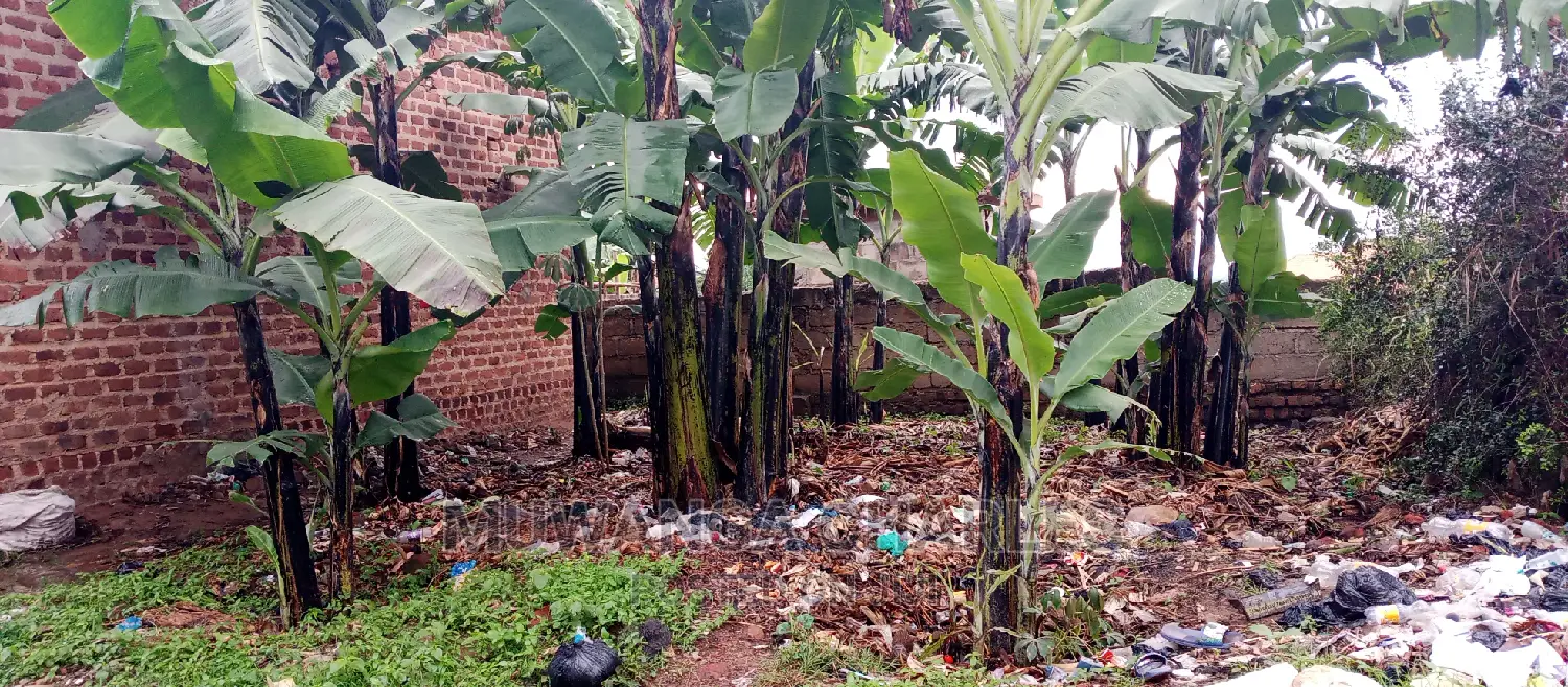 1bdrm House in Fs Properties Ltd, Kampala for Sale in Kampala