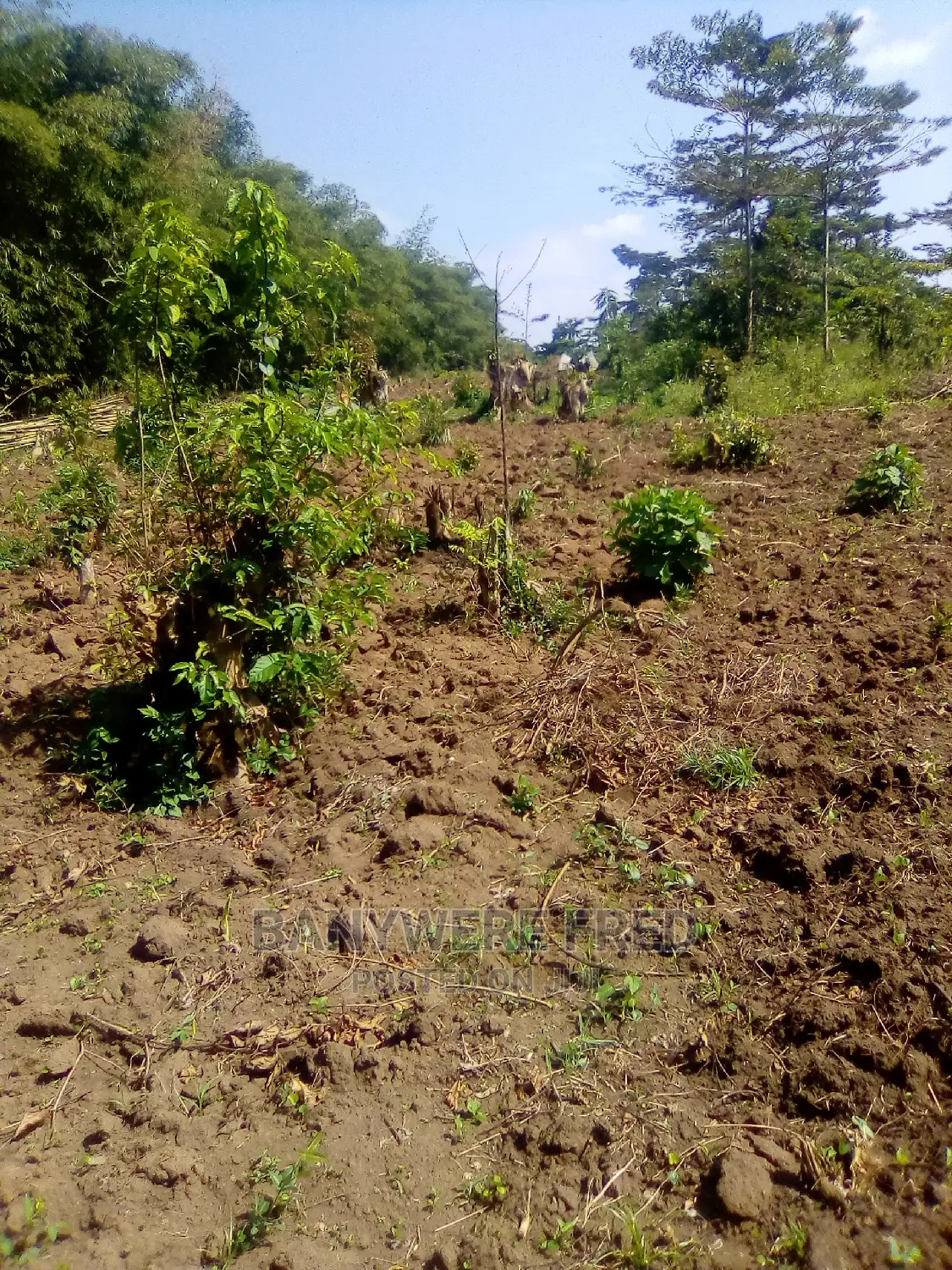 50/100 Plot for Sale in Kabembe Namirembe in Mukono