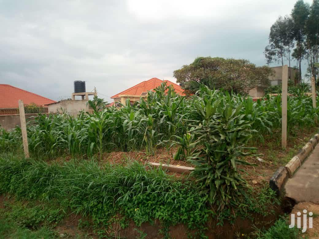 Very Hot Plot With Title On Forced Sale In Maya Nakirebe in Division B