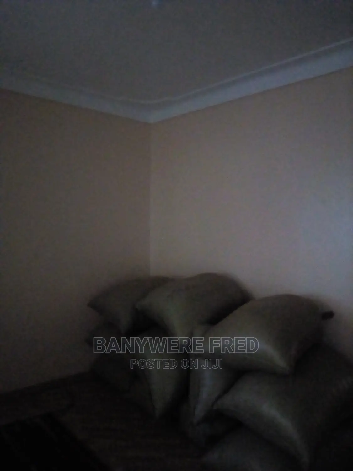Furnished 2bdrm Apartment in Kampala for Rent in Kampala