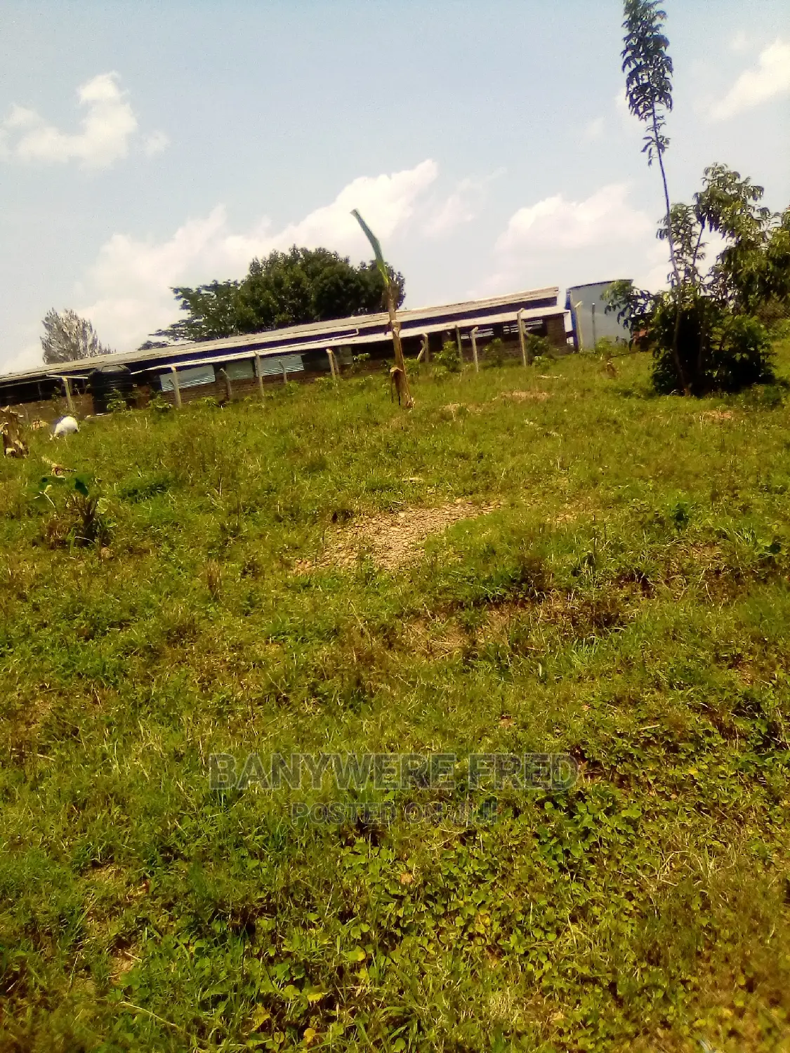 Kitukutwe Near Petrol Station 50/100 for Sale in Kampala