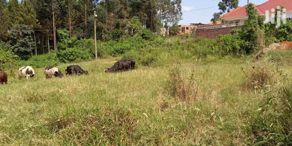 Kira Hillview Plots On Sell in Kampala