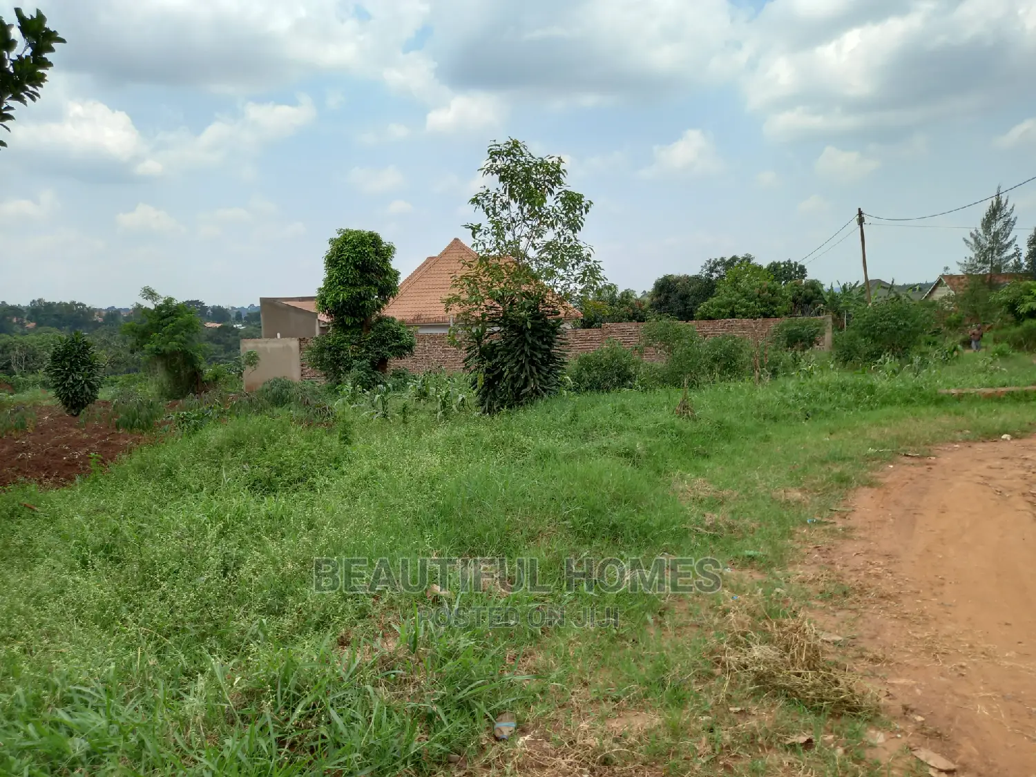 Kira Kimwani 25 Dec on Sell in Kampala