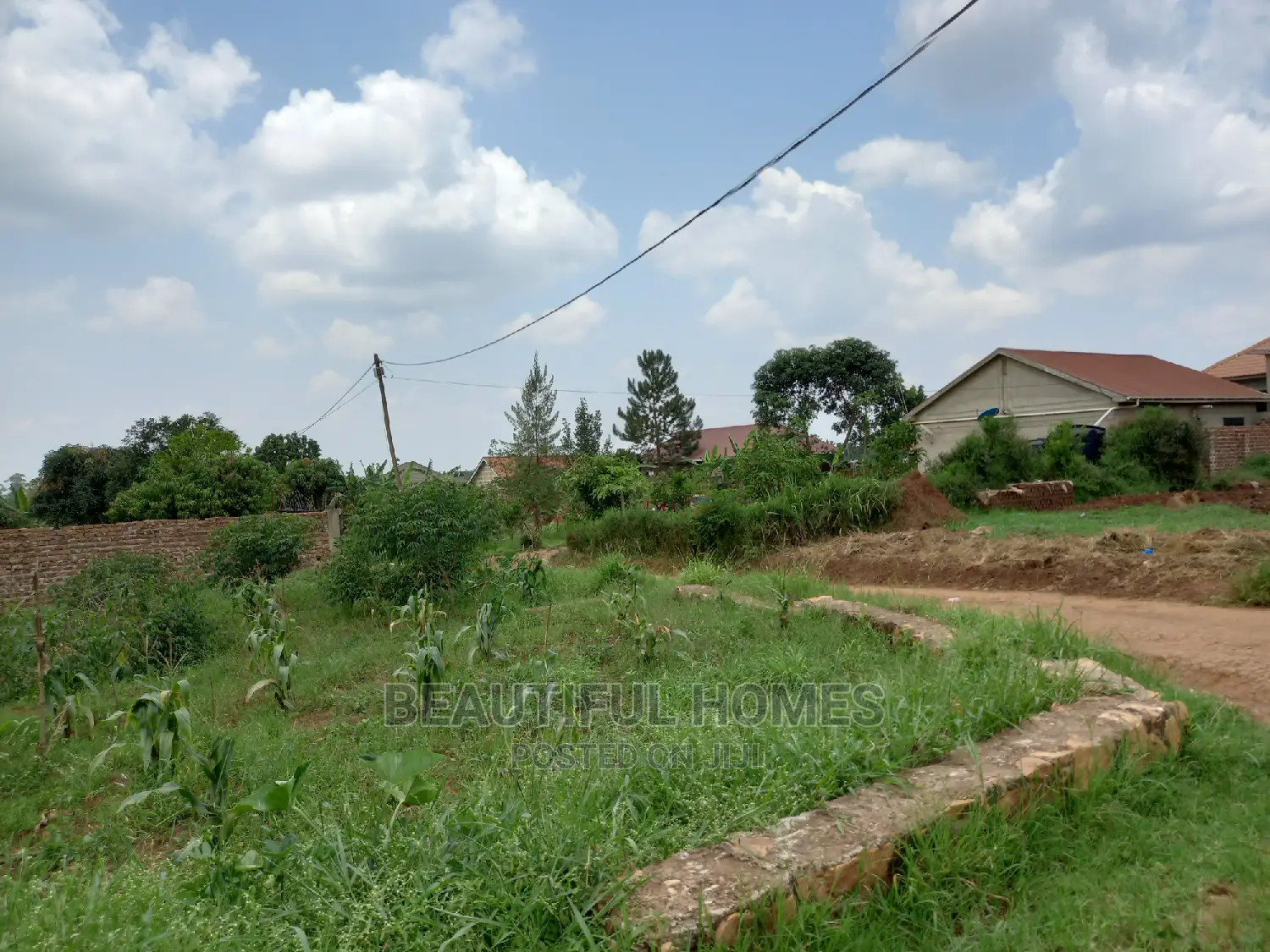 Kira Kimwani 25 Dec on Sell in Kampala