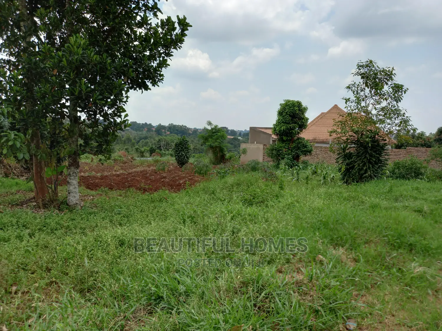Kira Kimwani 25 Dec on Sell in Kampala