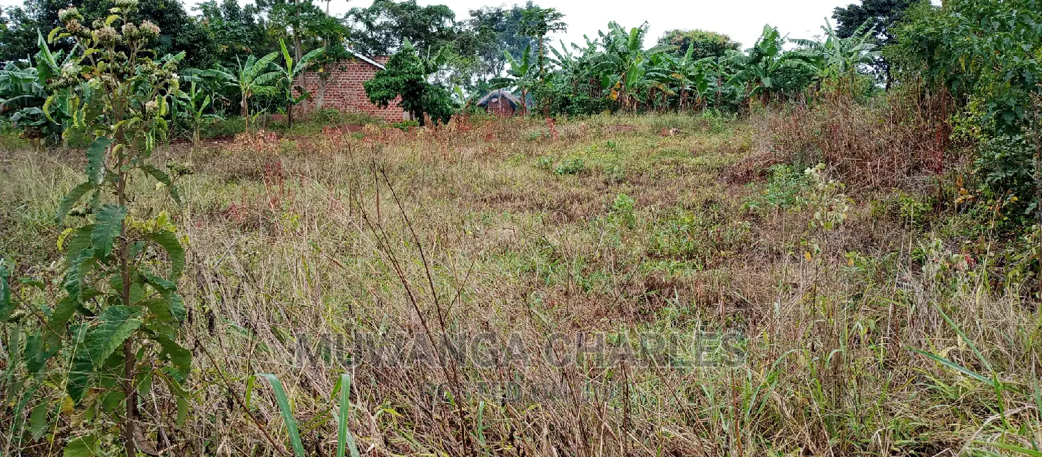 2.5acres Is for Sale in Zirobwe in Kampala