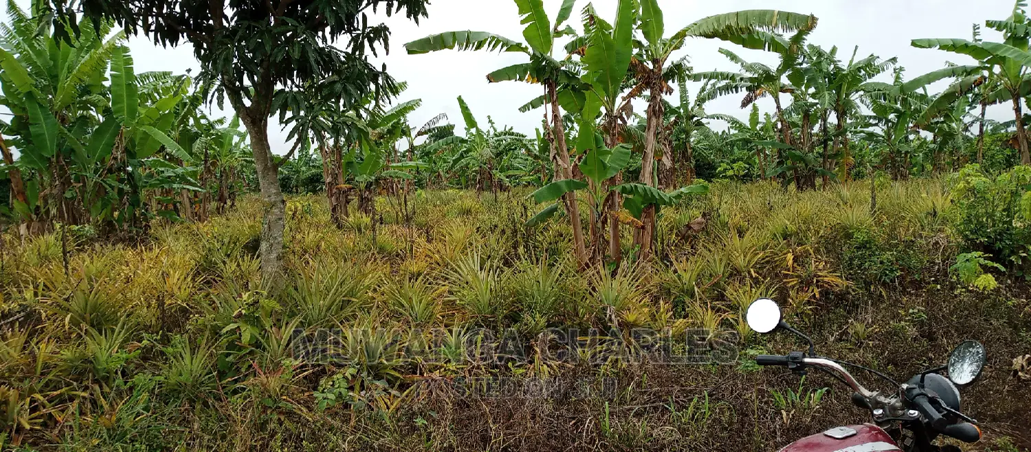 2acres of Land Is for Sale in Zirobwe in Kampala