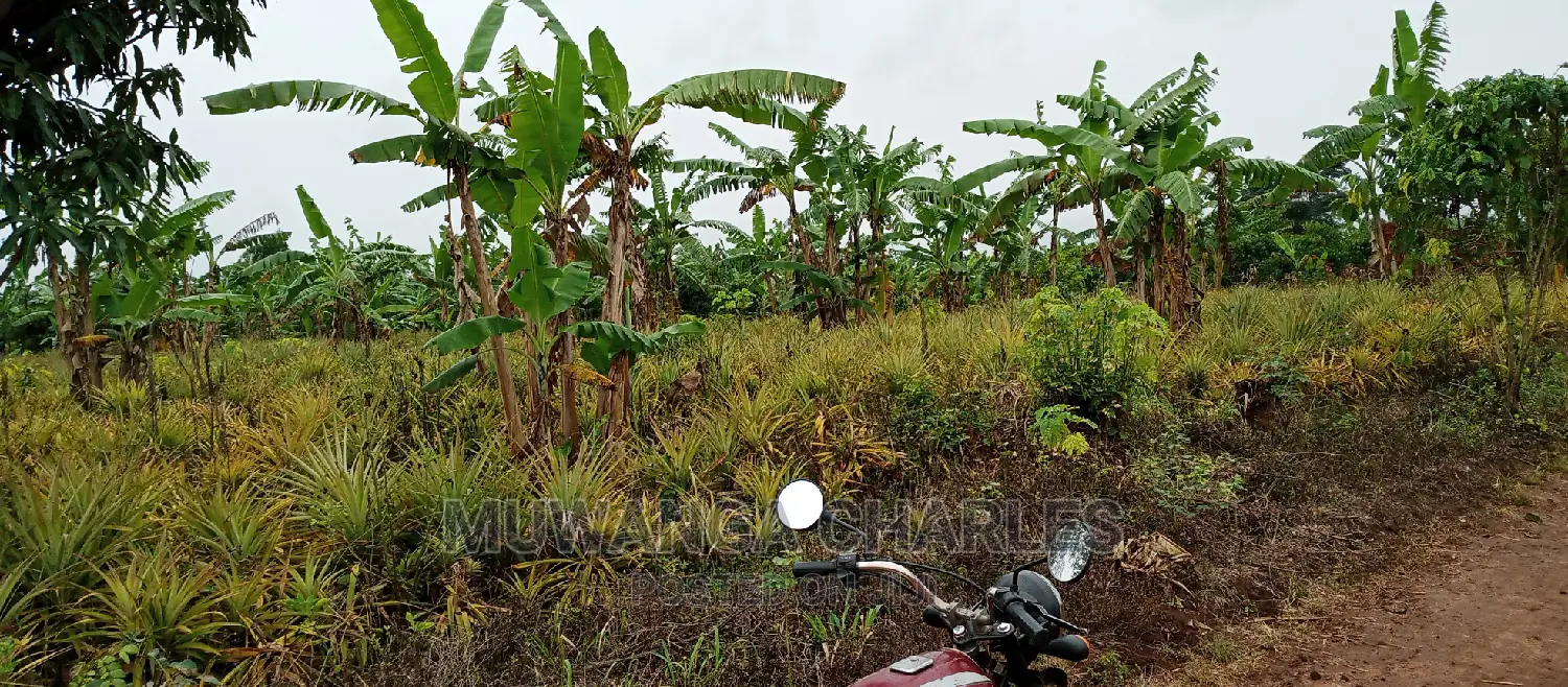 2acres of Land Is for Sale in Zirobwe in Kampala