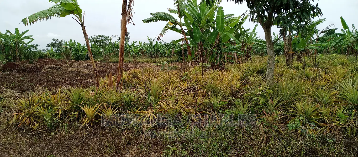 2acres of Land Is for Sale in Zirobwe in Kampala