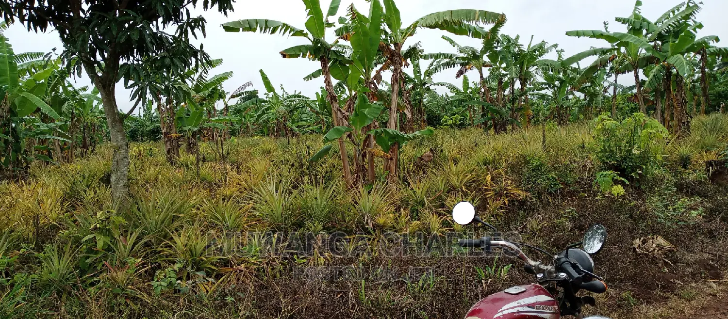 2acres of Land Is for Sale in Zirobwe in Kampala