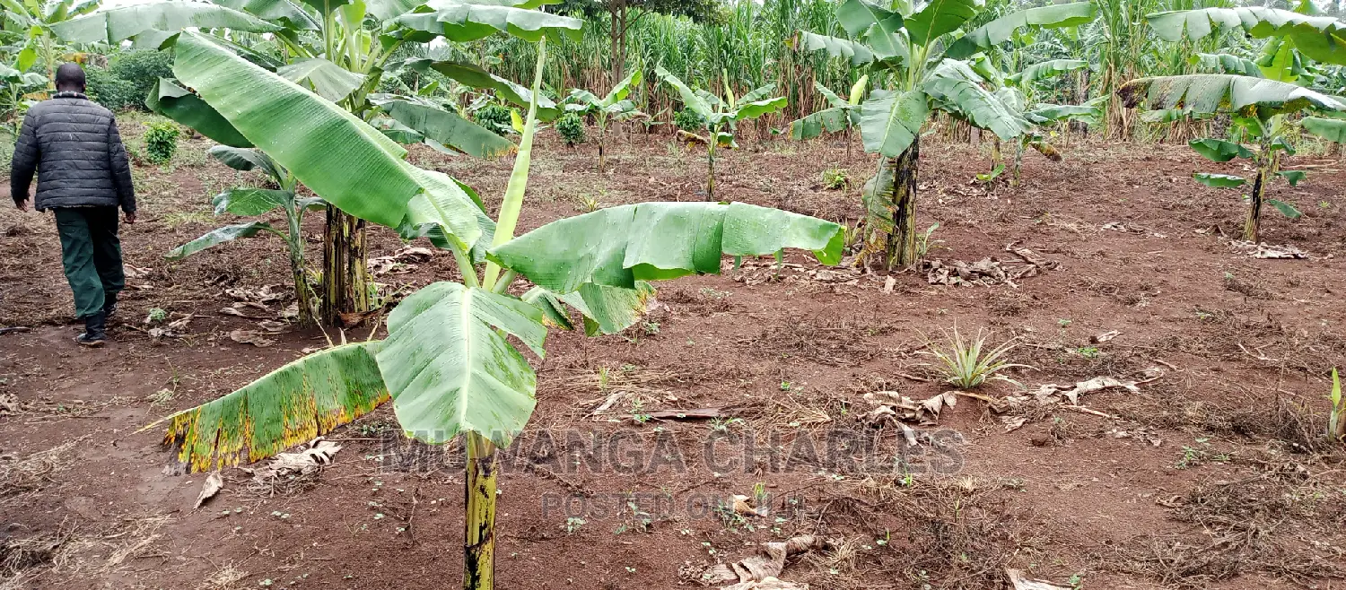 Land Is for Sale in Zirobwe in Kampala