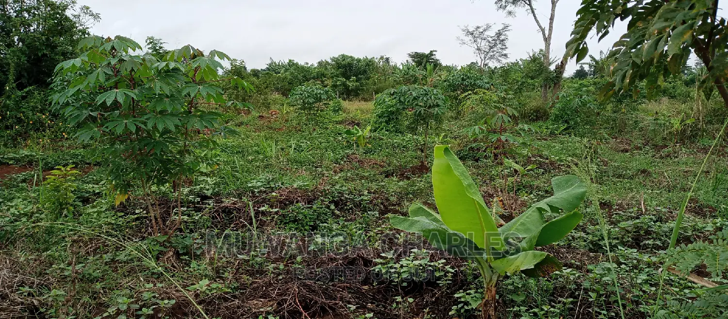 Land Is for Sale in Zirobwe in Kampala