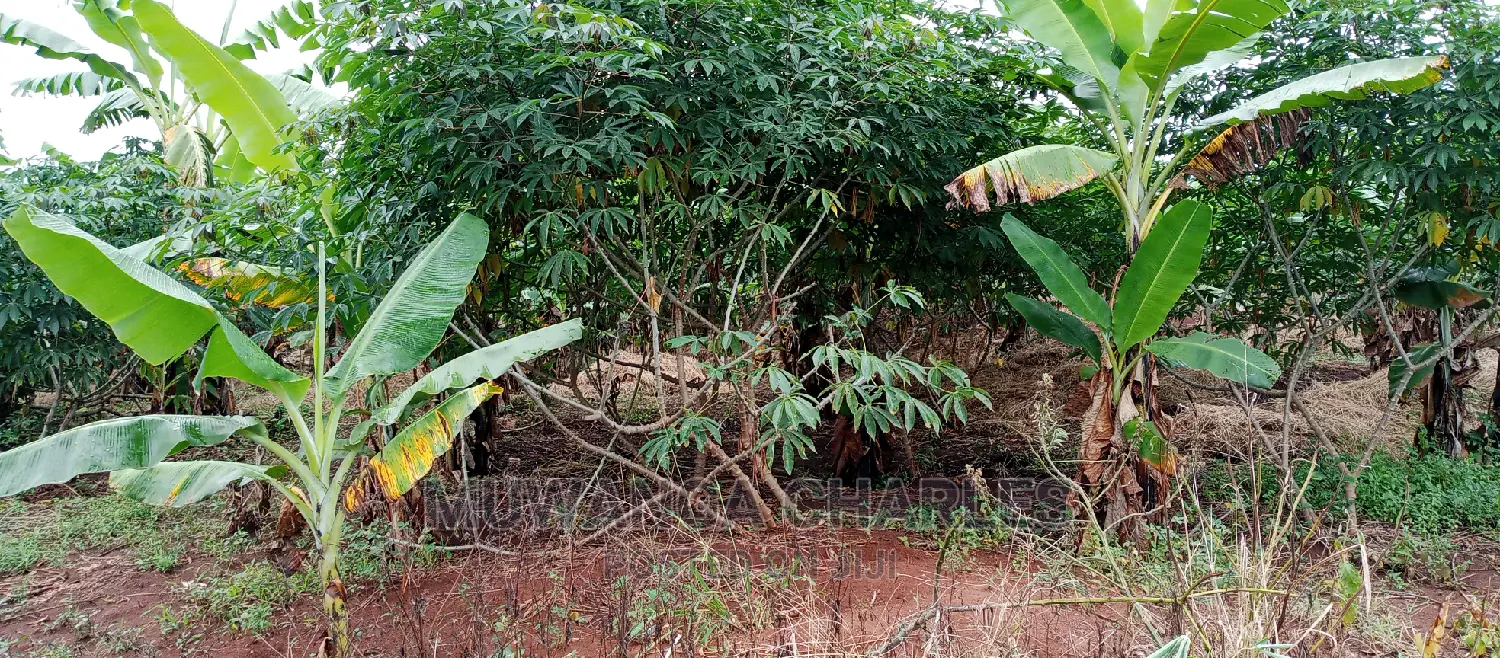 Land Is for Sale in Zirobwe in Kampala
