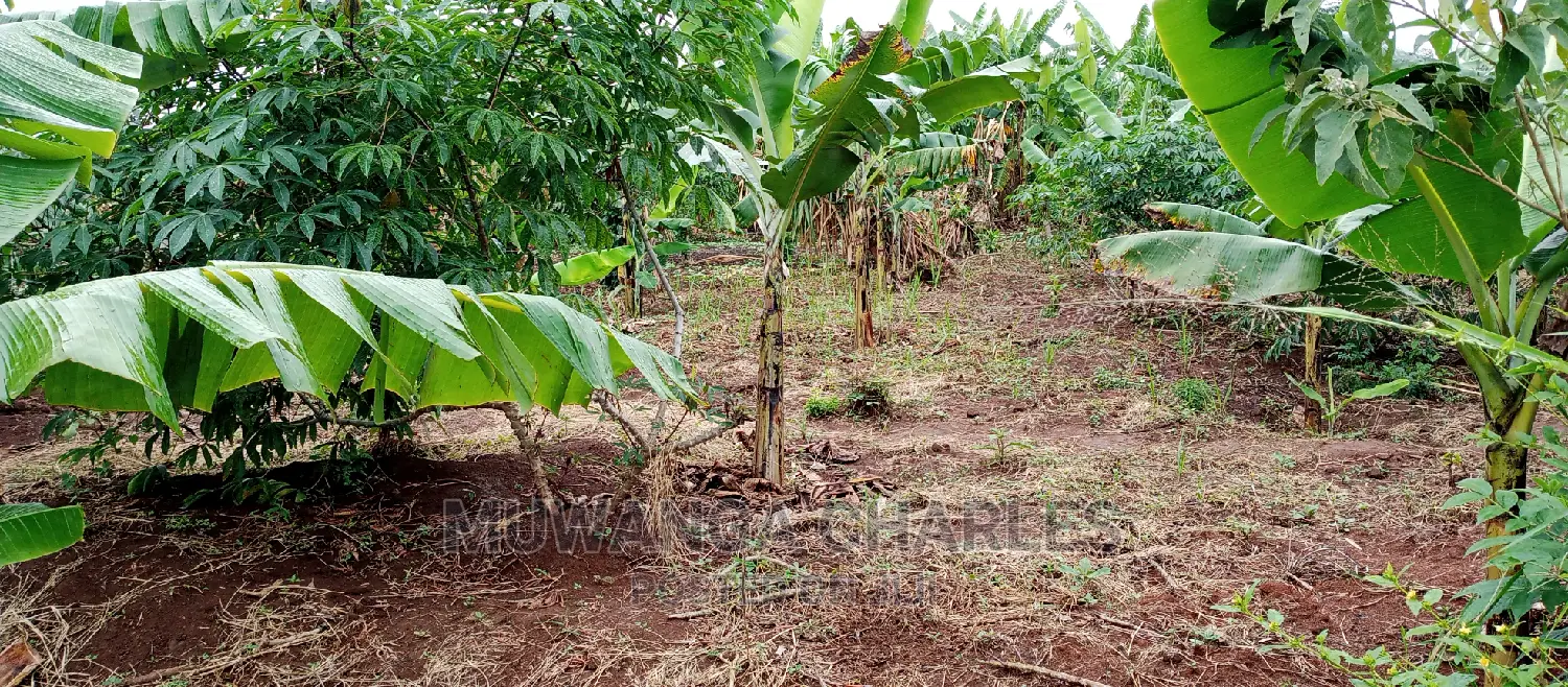 Land Is for Sale in Zirobwe in Kampala