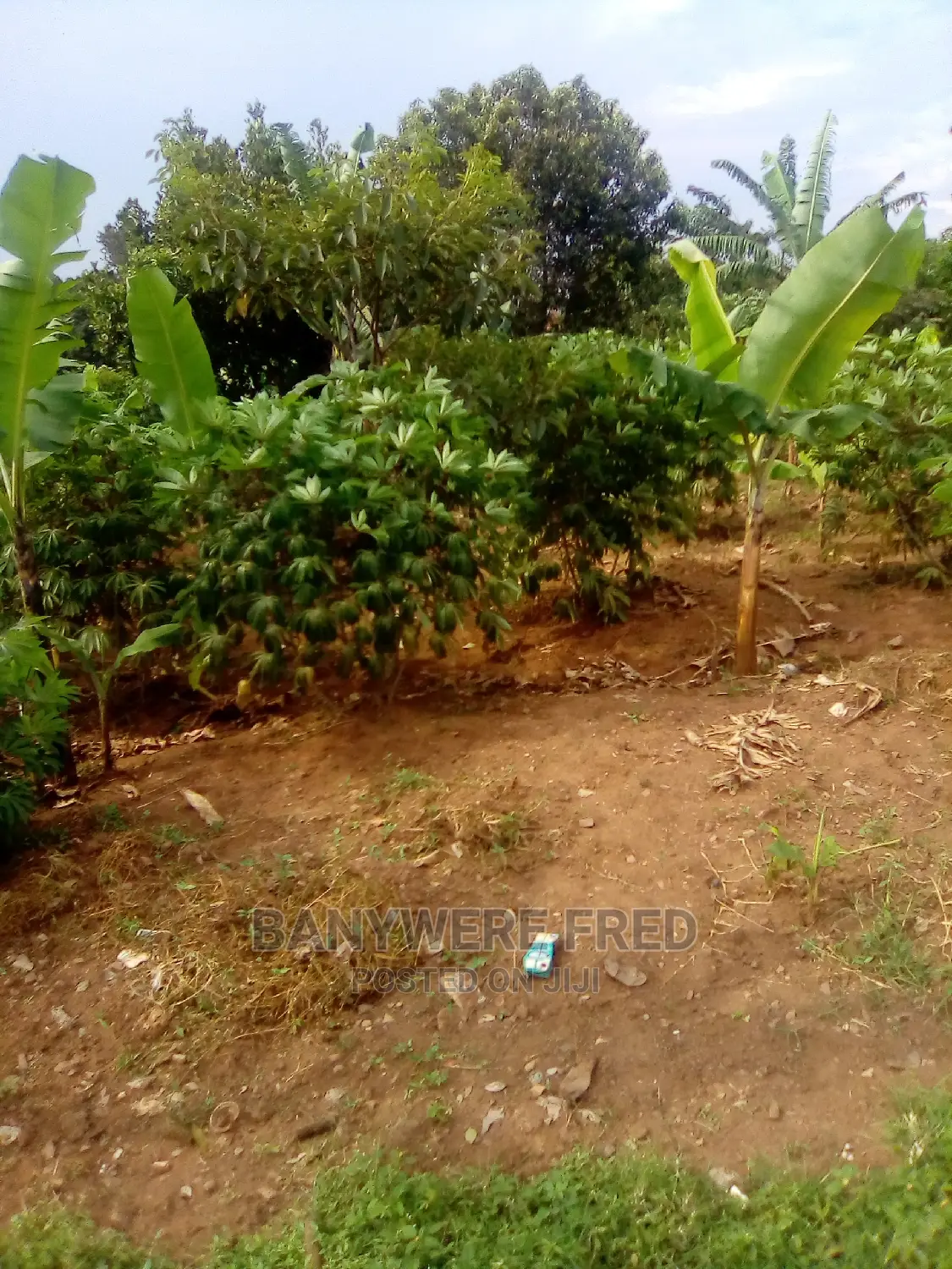30/50 Plot for Sale in Kiyunga Bulijo in Mukono