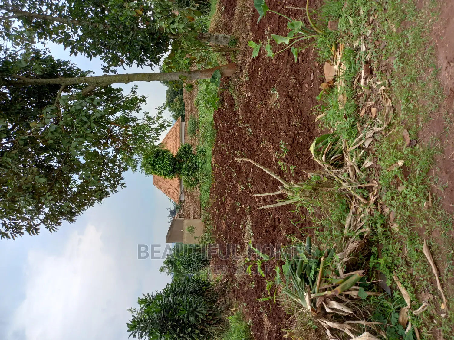 Nakwero 25 Decimals Near Main Road on Sell in Kampala