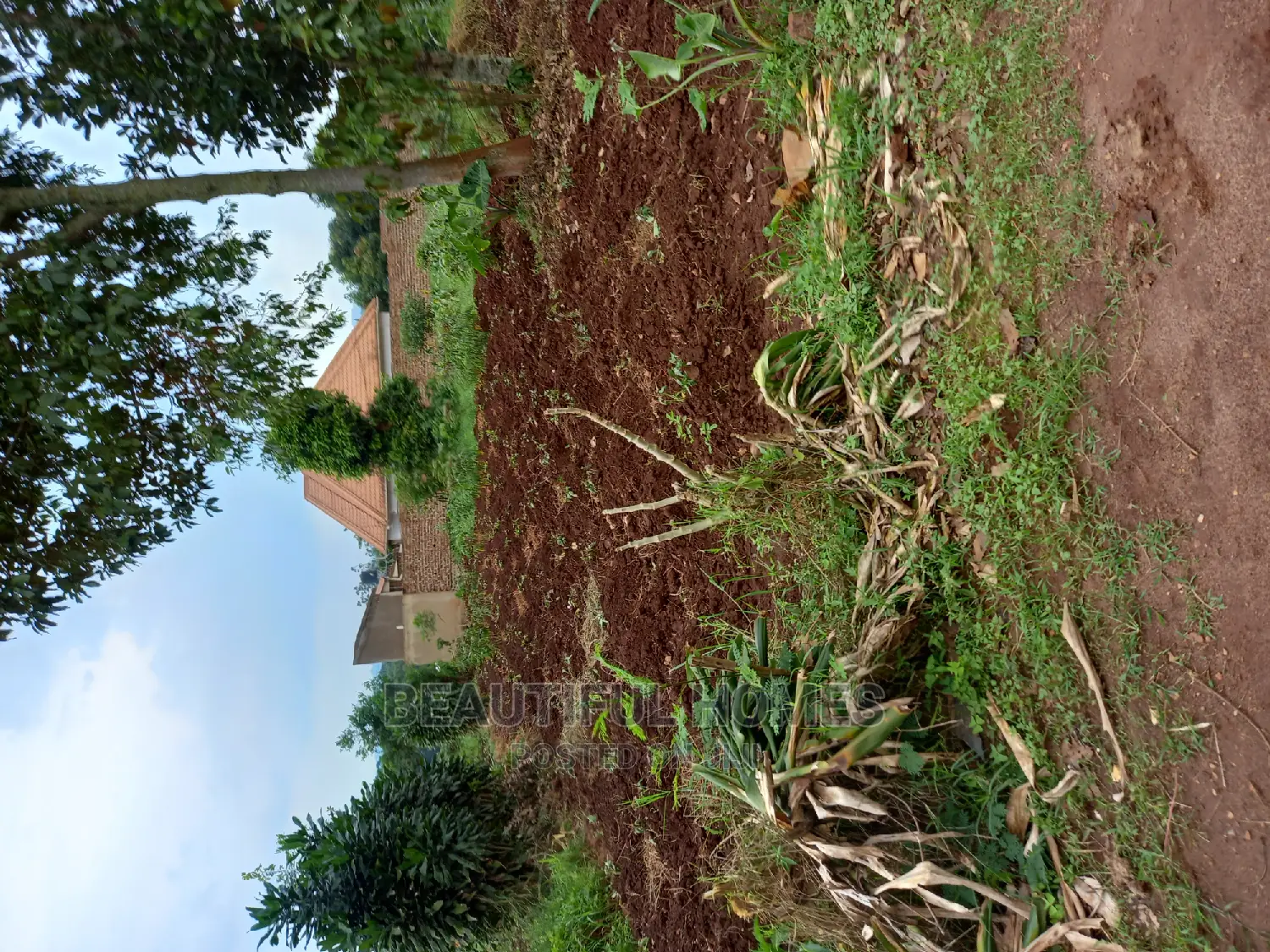 Nakwero 25 Decimals Near Main Road on Sell in Kampala