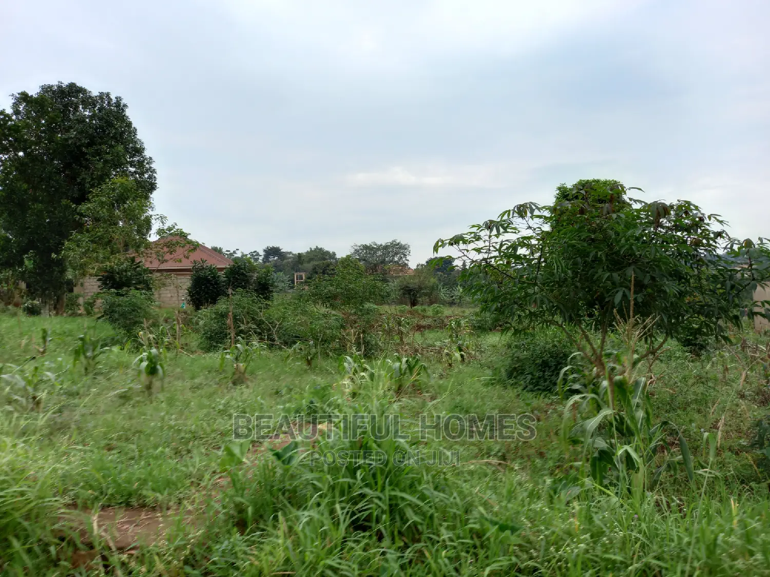 Nakwero Residential Plots on Sell in Kampala