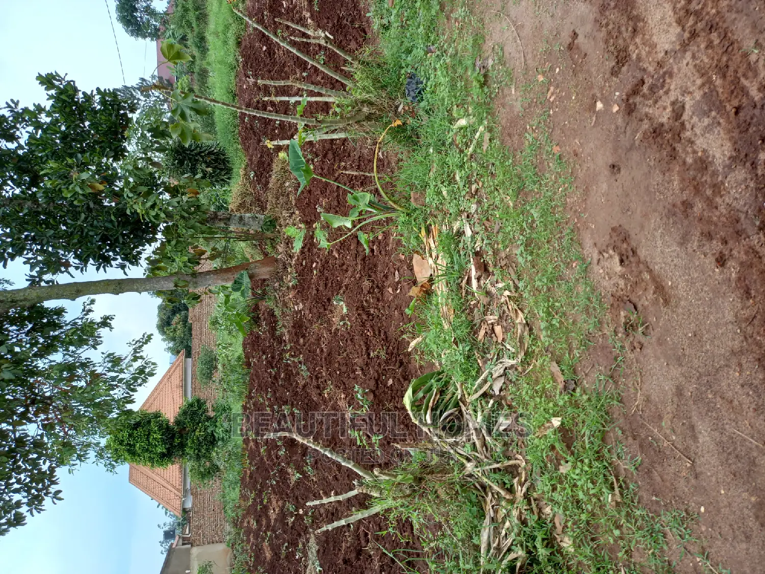 Nakwero 25 Decimals on Sell in Kampala