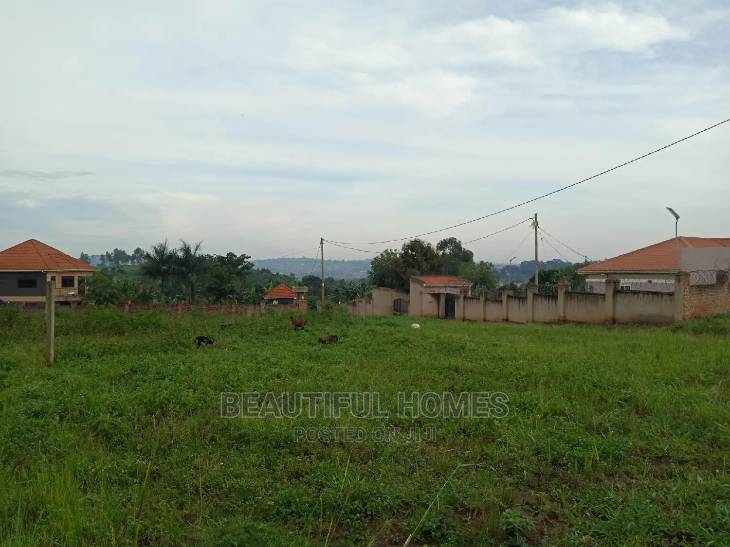 Kira Two Plots of Land for Sale in Kampala