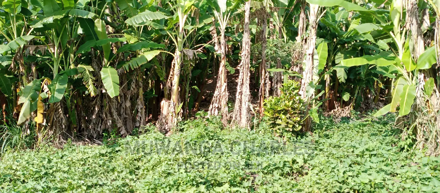 Plots for Sale in Zirobwe in Kampala