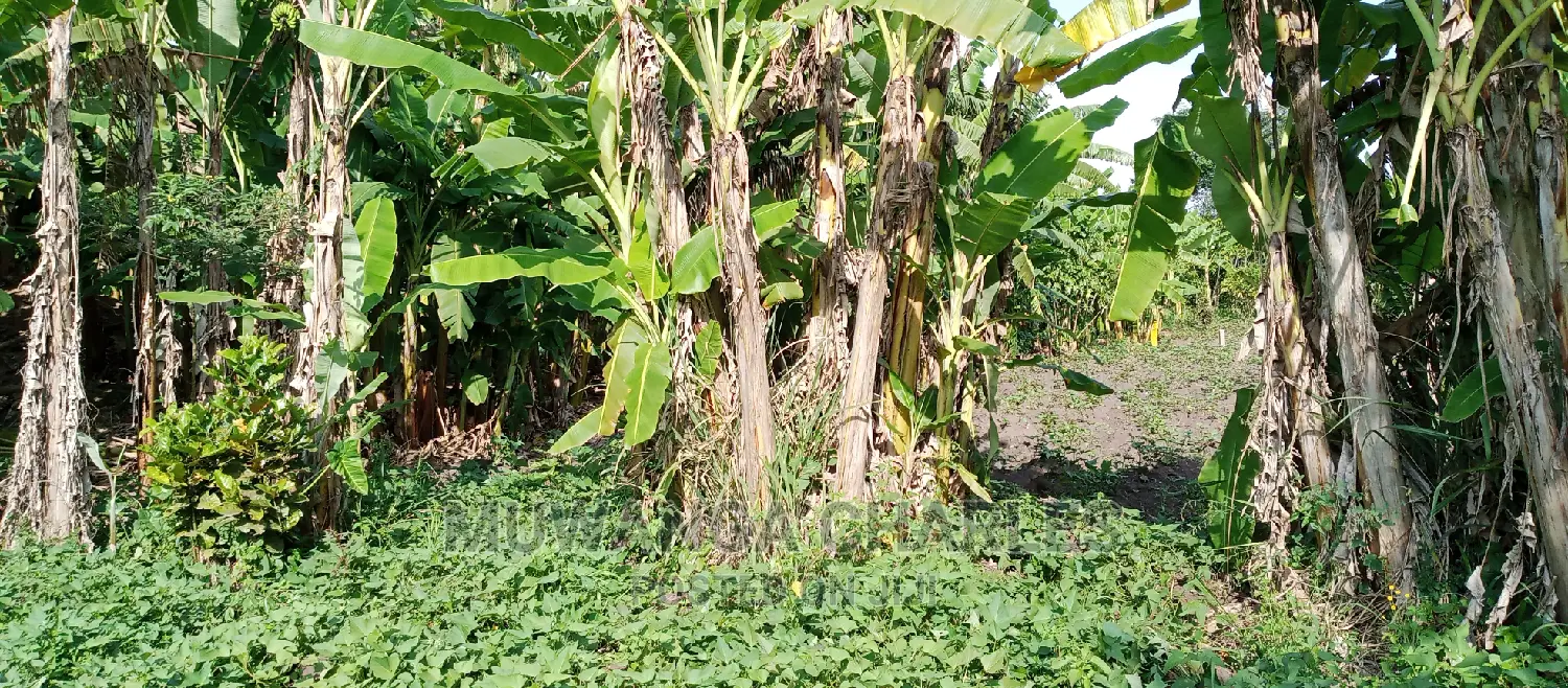 Plots for Sale in Zirobwe in Kampala