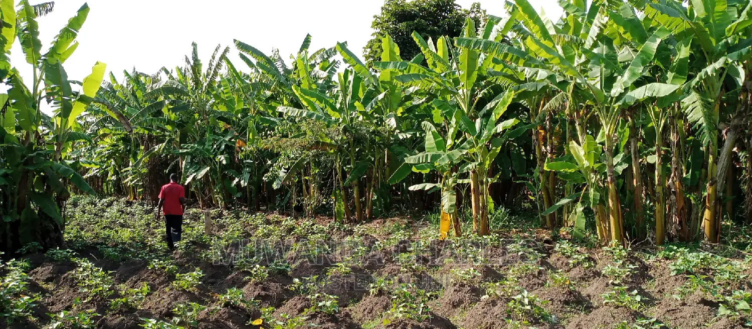 Plots for Sale in Zirobwe in Kampala