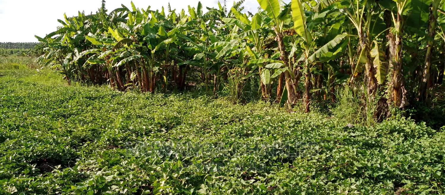 Plots for Sale in Zirobwe in Kampala
