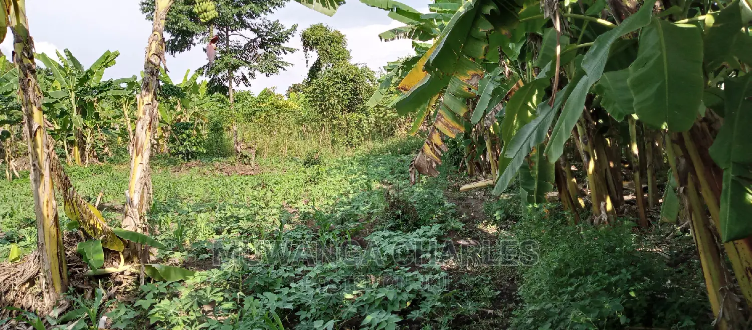 Plots for Sale in Zirobwe in Kampala