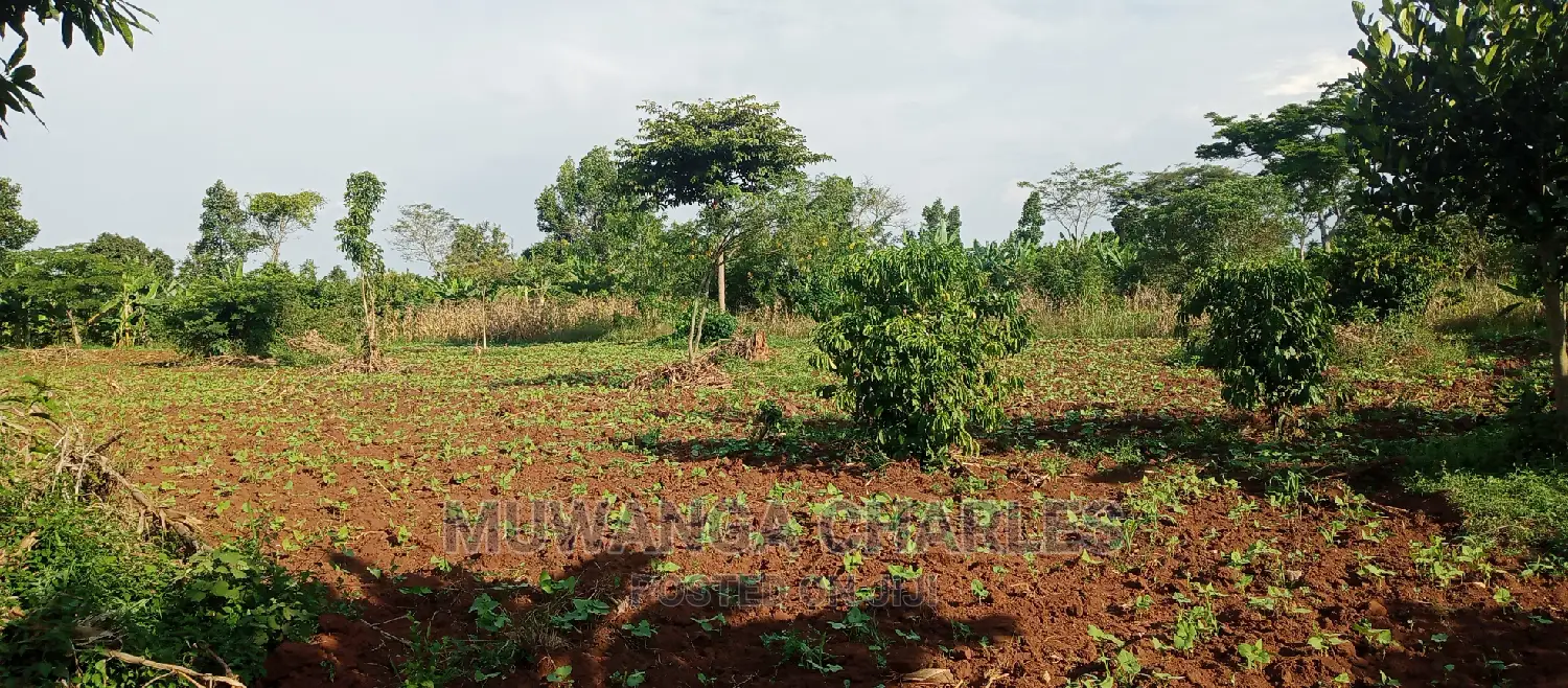 2acres of Land for Sale in Zirobwe in Kampala