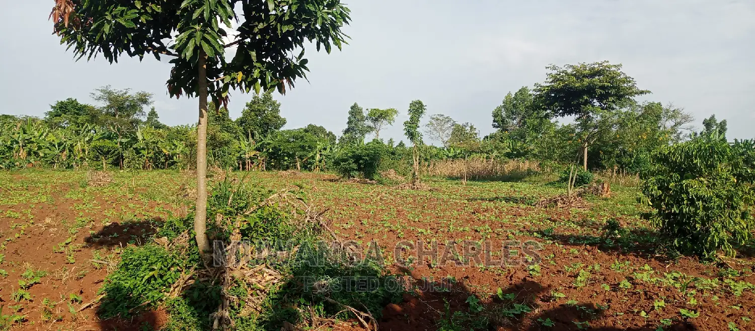2acres of Land for Sale in Zirobwe in Kampala