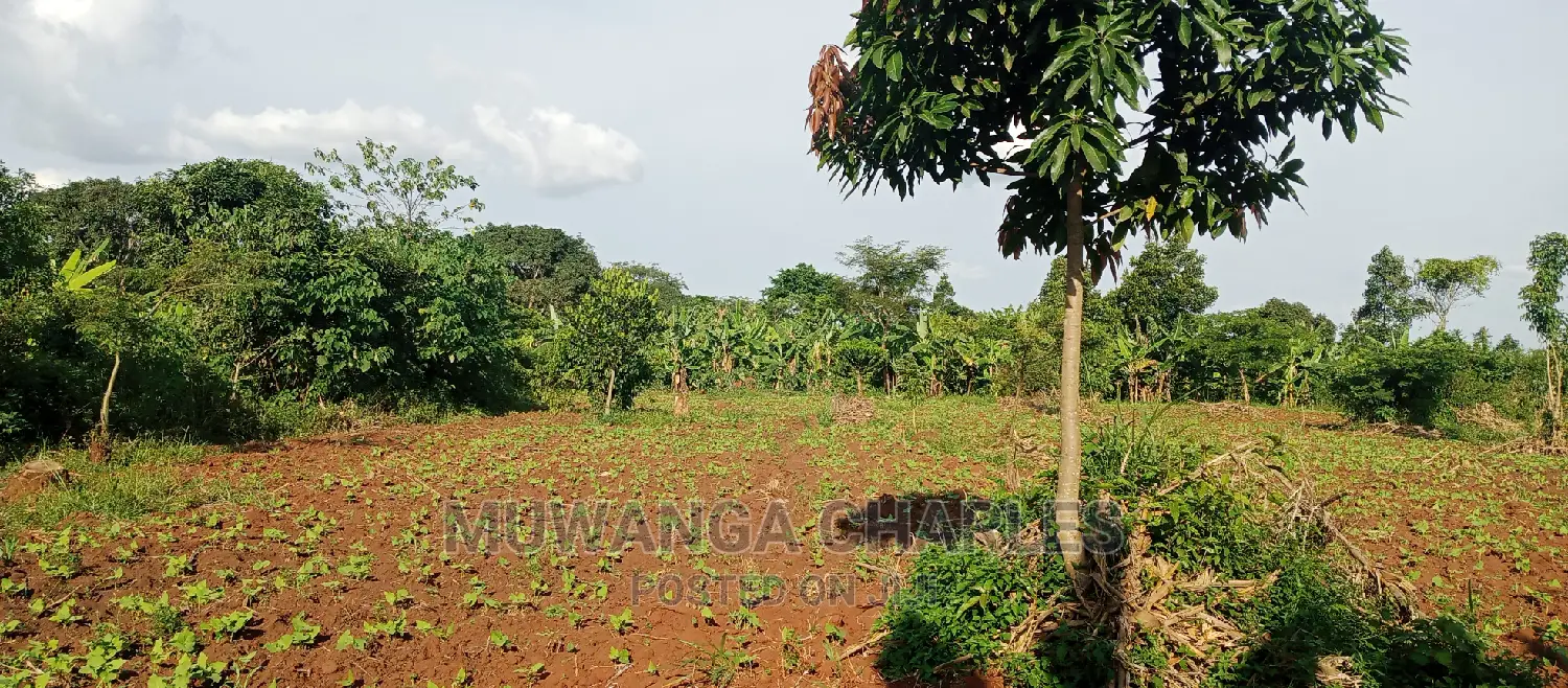 2acres of Land for Sale in Zirobwe in Kampala
