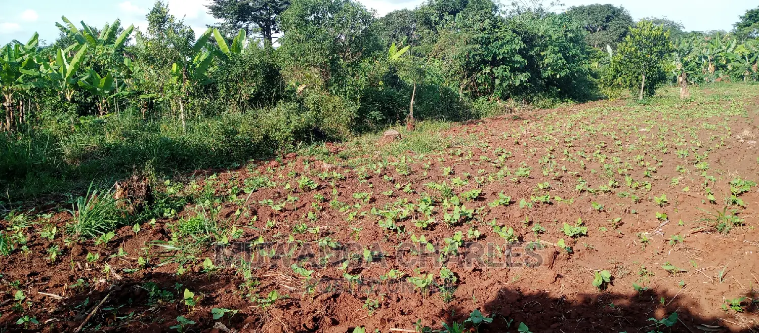 2acres of Land for Sale in Zirobwe in Kampala