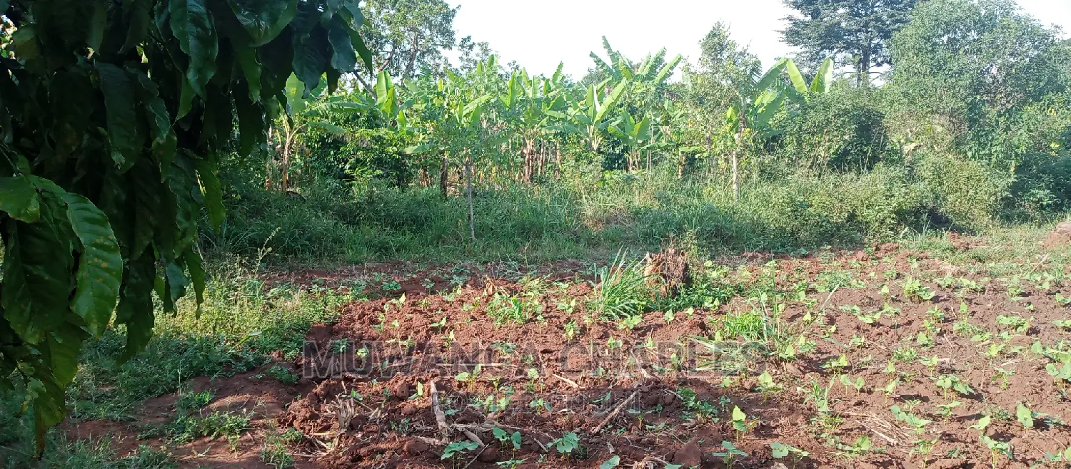 2acres of Land for Sale in Zirobwe in Kampala