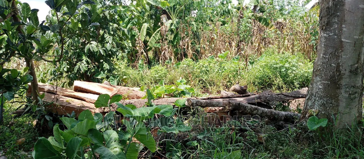 2acres for Sale in Zirobwe in Kampala