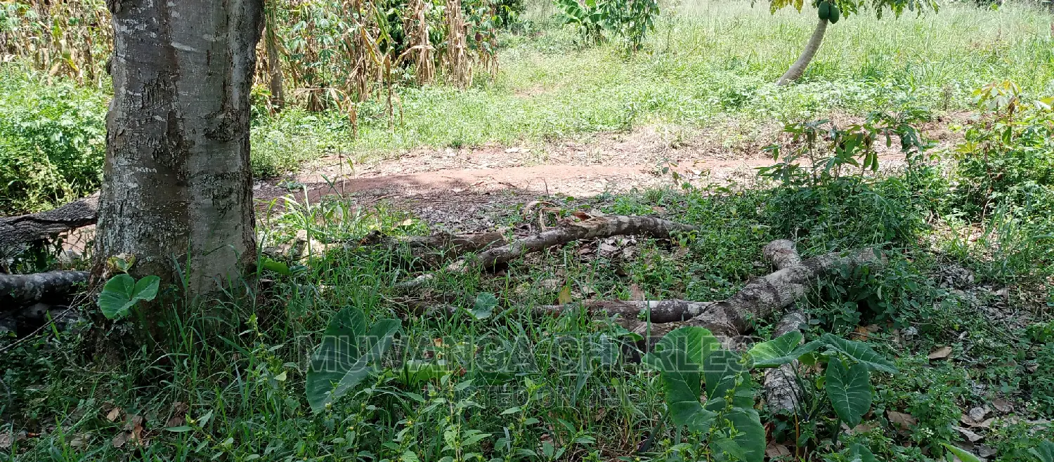 2acres for Sale in Zirobwe in Kampala