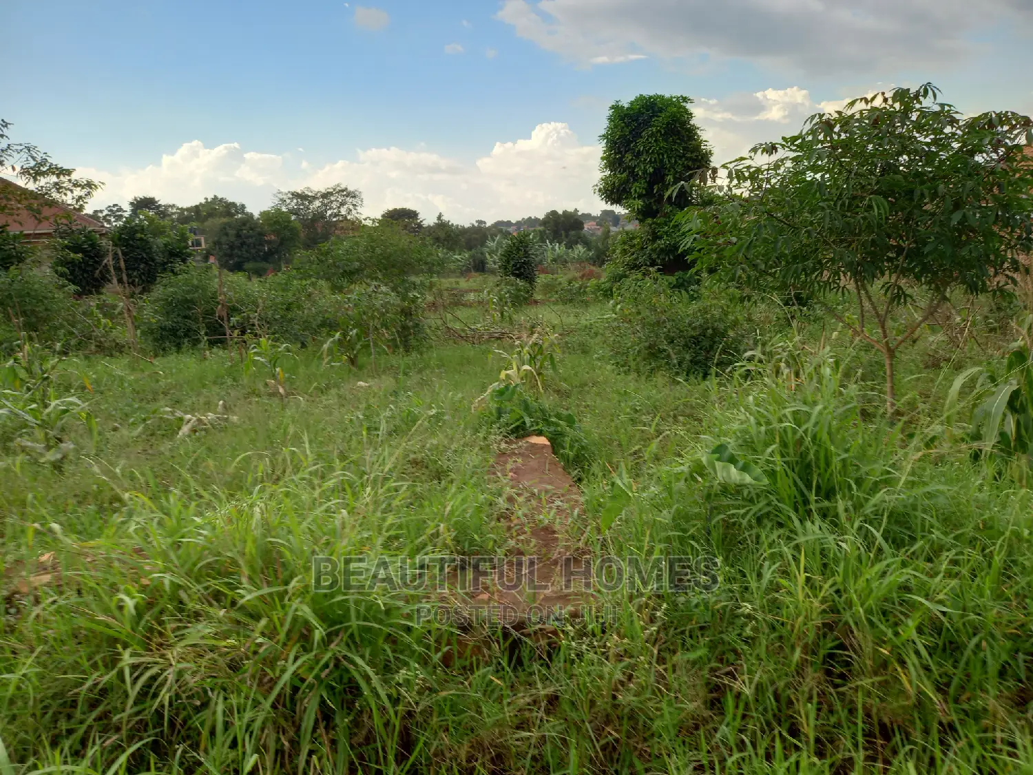 Kira Two Plots on Sell in Kira