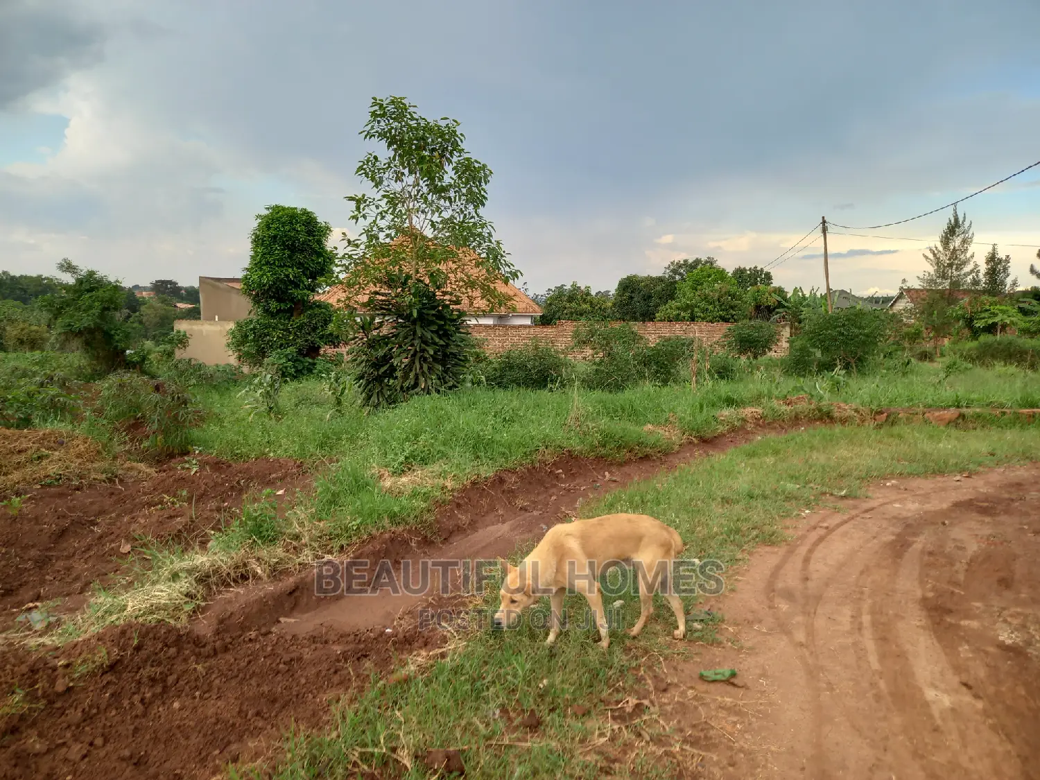 Nakwero Two Great Plots on Sell in Kira