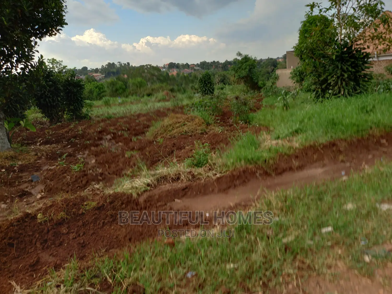 More Two Plots in Kira on Sell in Kira
