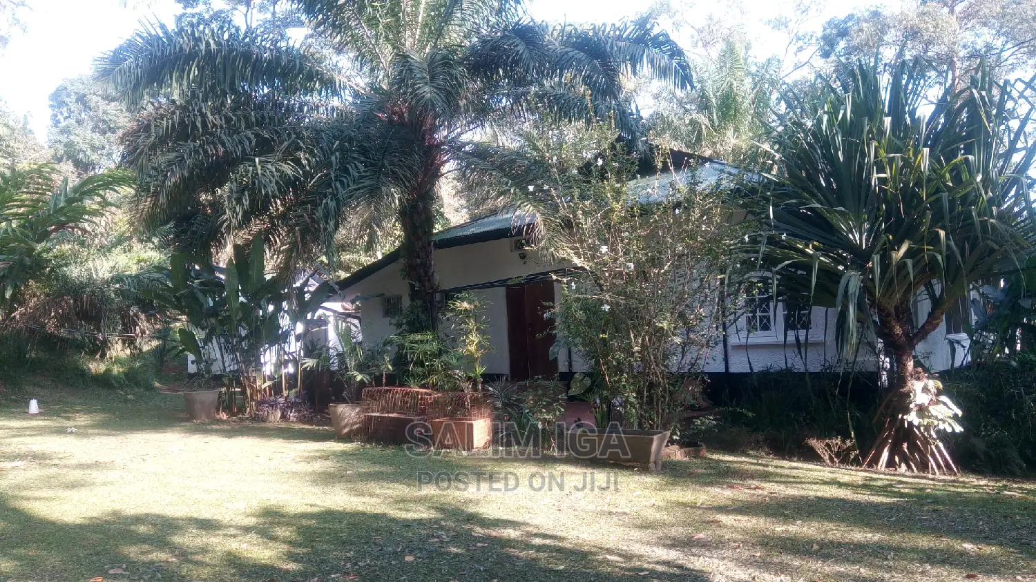 3bdrm Bungalow in Kololo Property, Kampala for Rent in Kampala