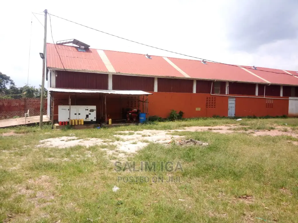 Factory On Market in Kampala