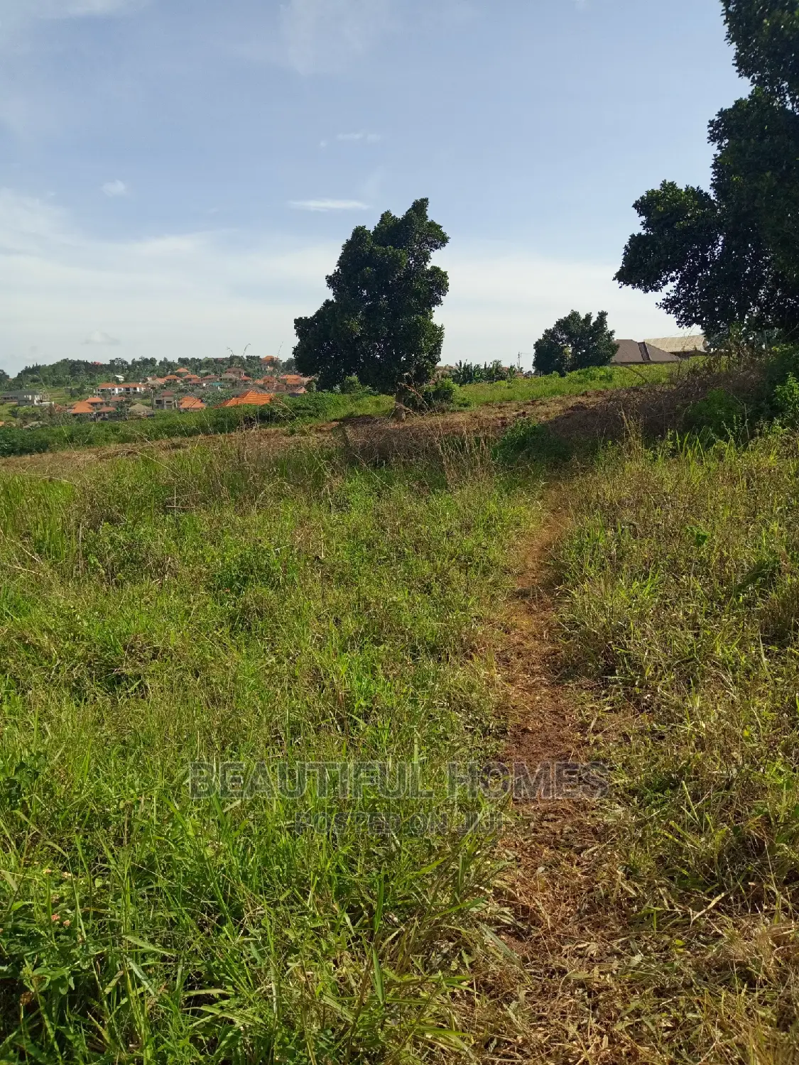 Kira 25 Decimals Good Land on Sell in Kira